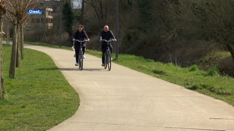 Diest zet extra in op fietsers met fietsambassadeurs: "Gaan fietsers, maar ook de automobilisten mee wijzen op hun verantwoordelijkheden"