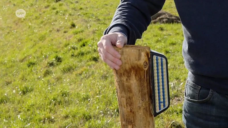 Landen plaatst nieuwe reflectoren langs de weg voor veiligere oversteek dieren