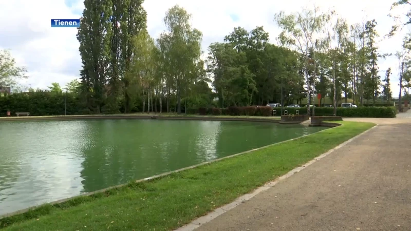 N-VA Tienen lanceert enquête voor nieuwe hondenweide aan het Vianderdomein