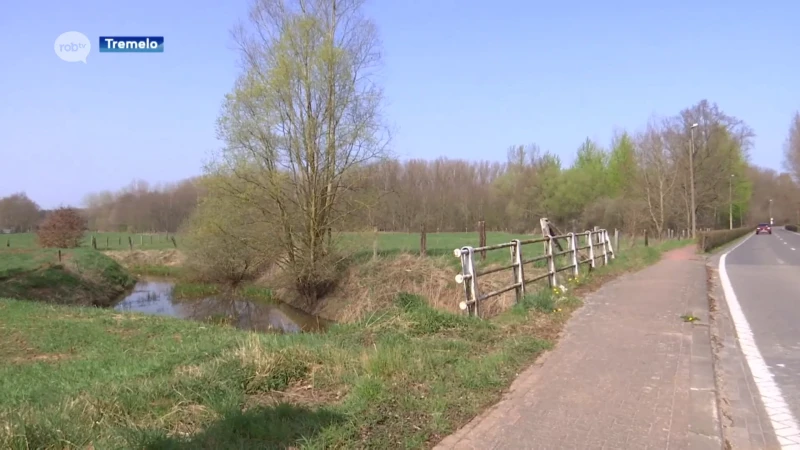 Zestiger komt om na val in Laakbeek in Tremelo