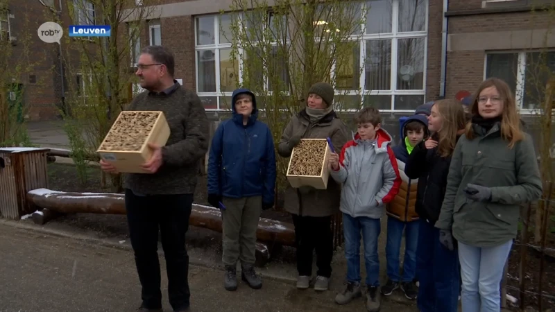 Heilig Hartinstituut onthardt speelplaats: "Als het water op de stenen valt dan stroomt het gewoon weg via de riolering"