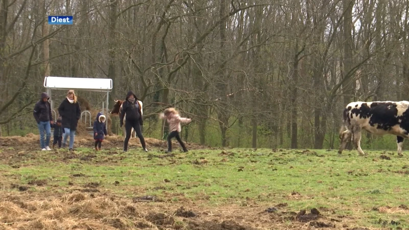 Dierenopvang Kaggevinne verzorgt zo'n 300 dieren: "Iedere week een oproep"