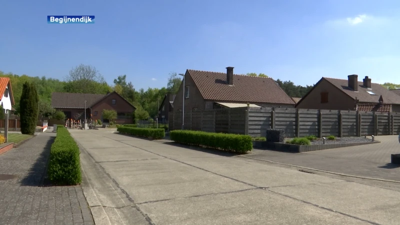 Al veel Aziatische hoornaars gespot: "25% meer dan vorig jaar"
