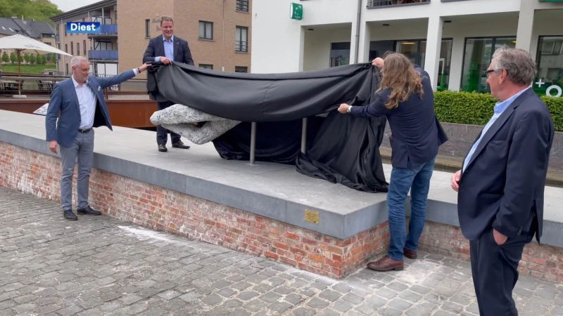 Not That Kind of Doctor: kunstenparcours moet Diest cultureel op de kaart zetten