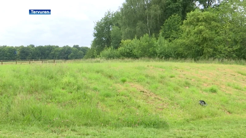 Tweede editie van parkenparade gaat van start: o.a. meditatie, lessen yoga en wandelingen tijdens eerste drie weekends van juni