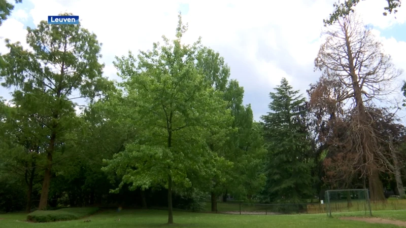 Het grootste park van Leuven wordt volgend jaar onder handen genomen.