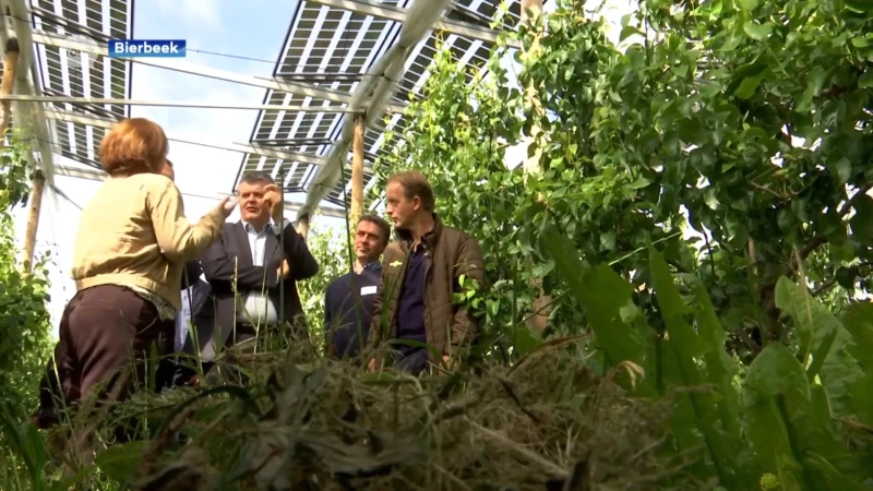 Delen we binnenkort onze energie met landbouwbedrijven uit de buurt?