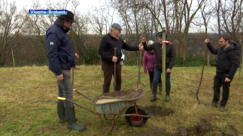 Inwoners van Vlaams-Brabant hebben vorig jaar bijna 130.000 bomen geplant