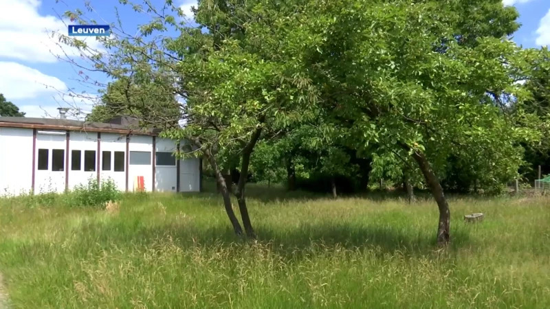 Voormalige basisschool De Boomgaard in Kessel-Lo wordt project met speciale zorgwoningen