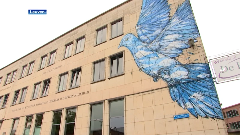 Nieuwe muurschildering aan atheneum de Ring moet buurt samenbrengen
