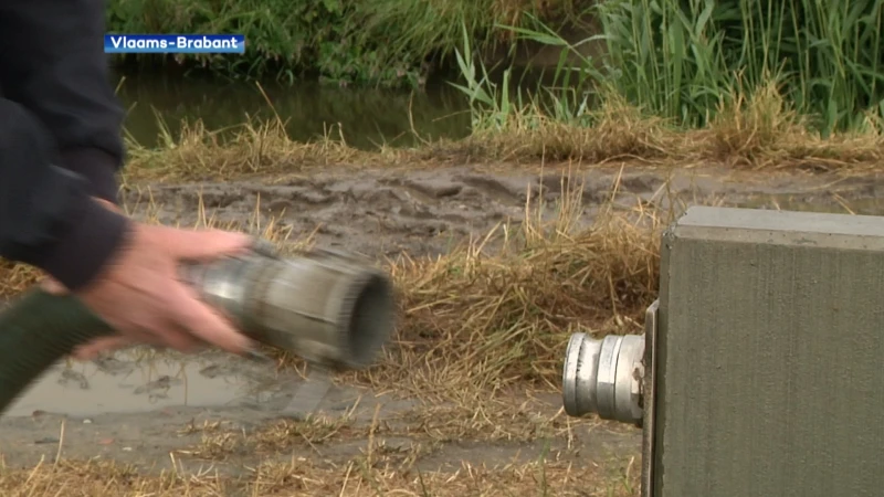 Water oppompen uit grachten mag niet meer door droogte