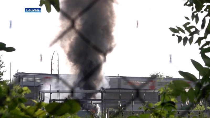 Brand aan elektriciteitscabine in Wilsele was mogelijk aangestoken