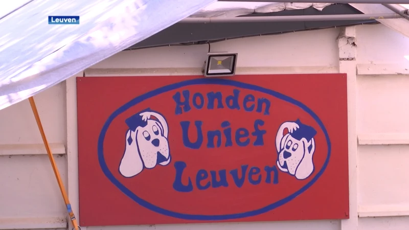 Honden Unief Leuven verhuist naar de voetbalterreinen in Lovenjoel: "Maar willen ook graag terrein met eigen kantine"