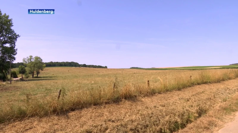 Natuurpunt en VLM zien een andere oplossing voor de vervuiling van de IJse: "grasstrok zijn efficiënter"