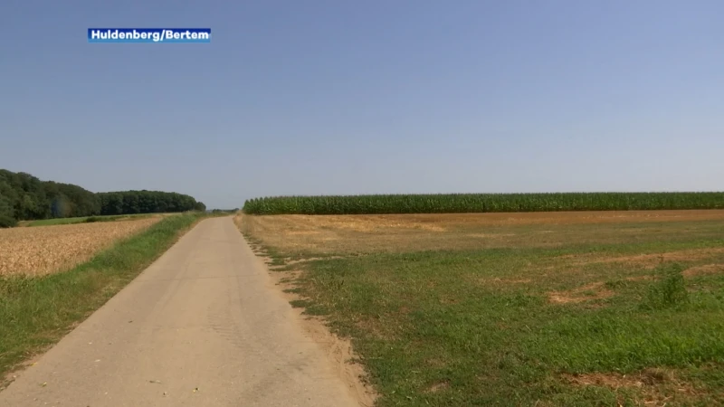 Nieuwe toeristische trekpleister op komst op grens van Bertem en Huldenberg?