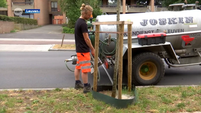 Leuven geeft alle bomen en planten extra water tijdens hitte