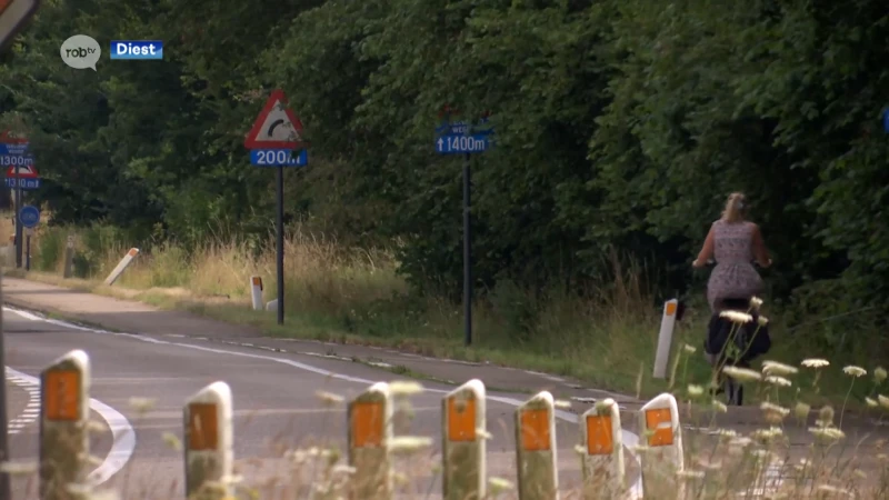 Heraanleg Tessenderloweg nog niet voor meteen: "In Diest moeten de onteigeningen nog opgestart worden"