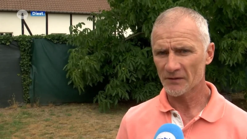 Danny Boffin is de nieuwe trainer van KFC Diest, als er nieuw seizoen komt tenminste: "Vrijdag weten we of KFC Diest stopt of niet"