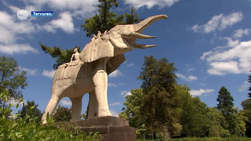 Olifant aan Africamuseum Tervuren wordt gerestaureerd