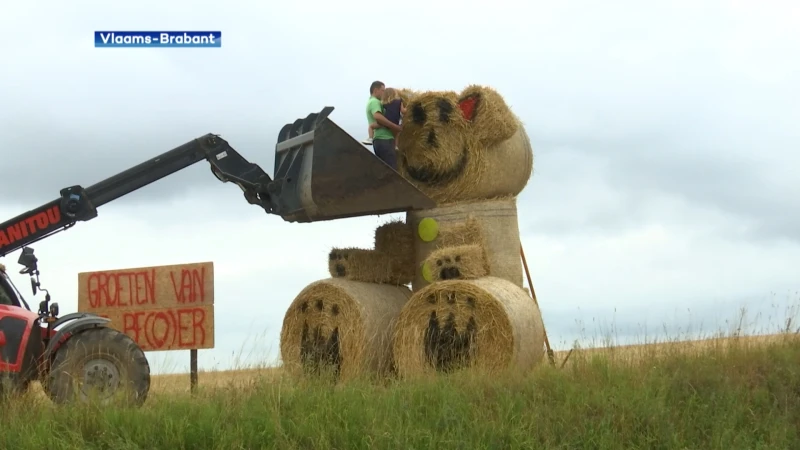 Spot jij de poppen uit stro in Boutersem?