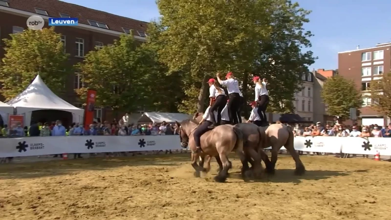 Stad Leuven verwacht maandag meer dan 100.000 bezoekers voor jaarmarkt