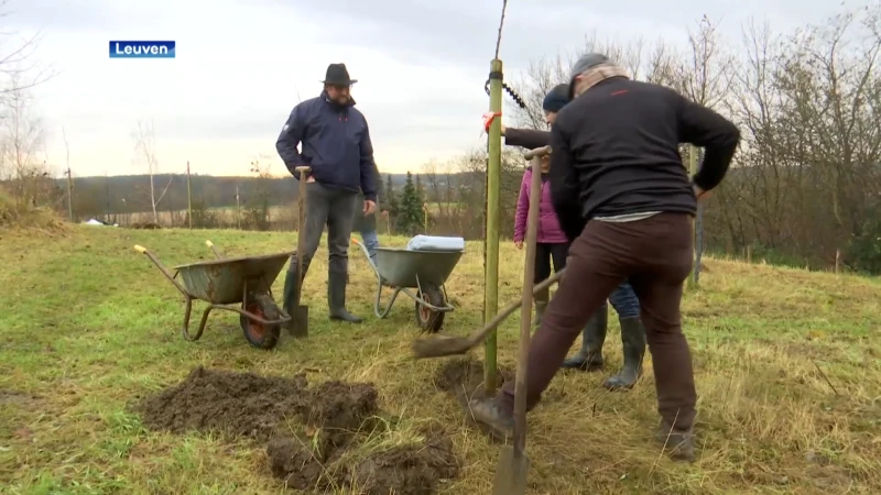 Eerste duizend Leuvenaars die deelnemen aan 'Behaag je tuin' krijgen 25 euro korting