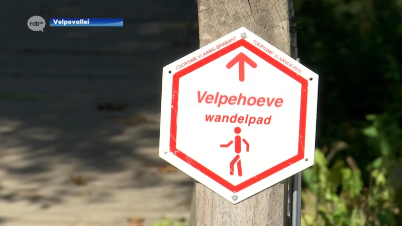 480 kilometer extra wandelmogelijkheid in Velpevallei door gloednieuw wandelnetwerk met knooppunten