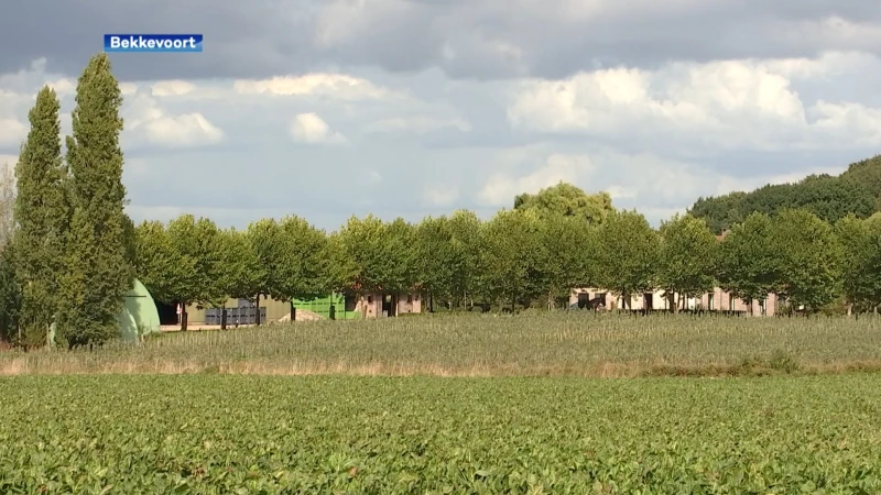 Socialistische vakbond wil actie ondernemen tegen Bekkevoorts fruitbedrijf omdat seizoensarbeiders niet betaald zouden worden: " Ze hebben moeten overleven op appels en water, want ze hadden geen geld om eten te kopen"