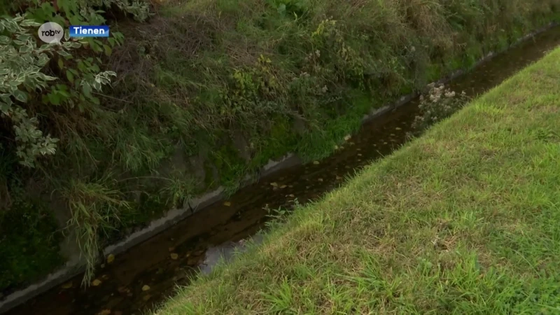 Provincie gaat overstromingsgebied aanleggen om wateroverlast in Oplinter te voorkomen