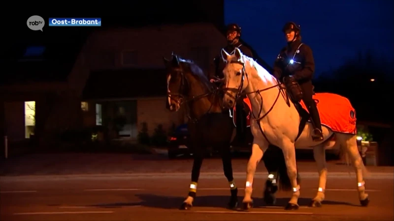 Politiezone Hageland krijgt versterking van politie te paard