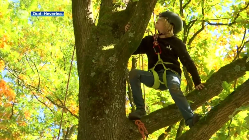 Leven in, van en met de natuur: 800 deelnemers zijn op bushcraftweekend aan De Kluis in Sint-Joris-Weert