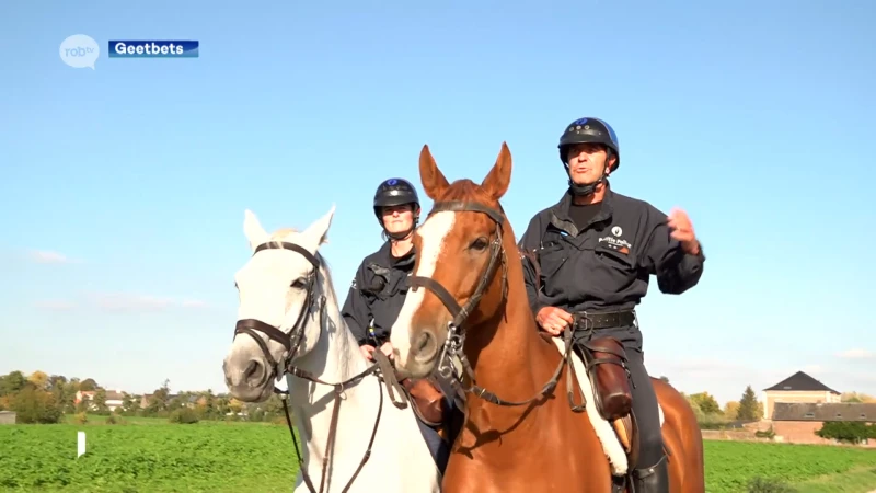 Vier keer zoveel woninginbraken en dus schakelt politiezone Hageland cavalerie in: "Wij zijn aanspreekpunt en hebben beter zicht"