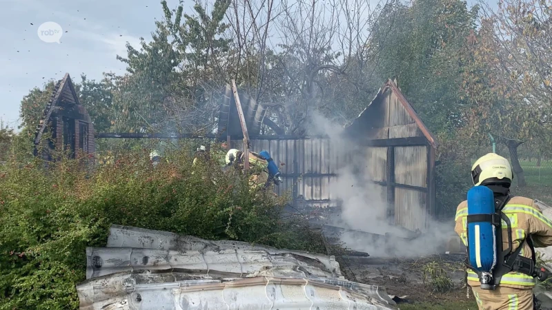 Meer dan 300.000 bijen omgekomen na brand in tuinhuis in Zoutleeuw