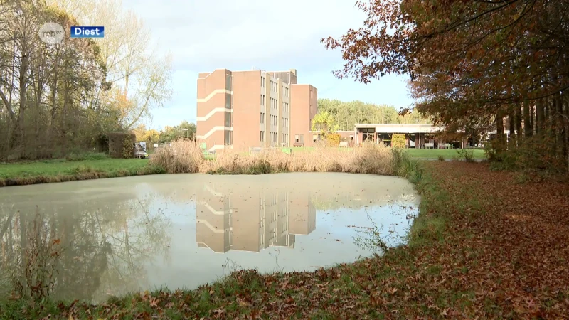 Vissen uit vijver langs WZC Sint-Augustinus in Diest krijgen nieuwe thuis