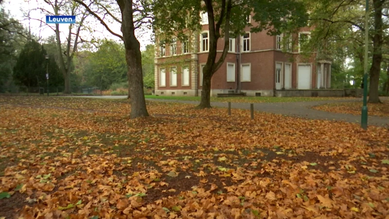 Leuven recycleert herfstbladeren en brengt ze naar buurtmoestuinen en bio-boeren