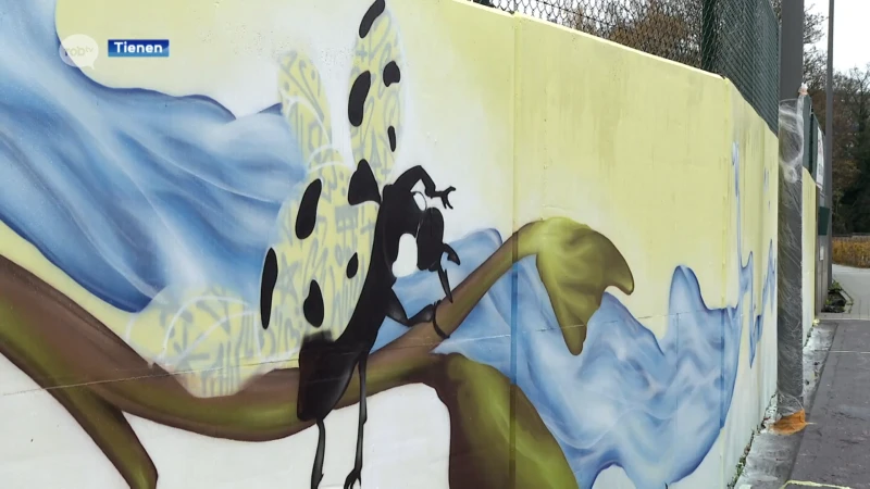 Eerste street-art kunstwerk in Tienen vind je aan de Bergévest