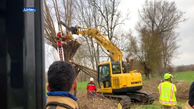 Man breekt been bij snoeien knotwilg in Linter