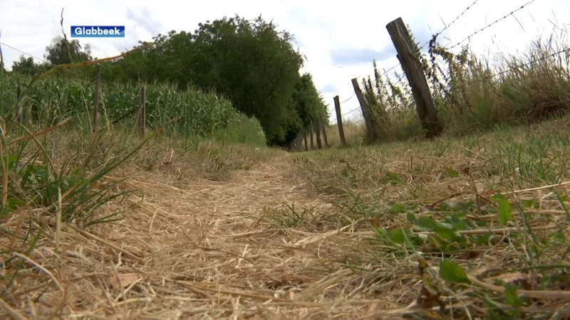 Kan Glabbeek nog een deel van voetweg-dwangsommen recupereren? Juridisch getouwtrek nog niet voorbij