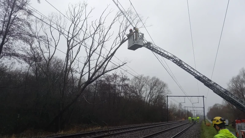 Boom valt op spoorweg: treinen rijden opnieuw tussen Leuven en Mechelen