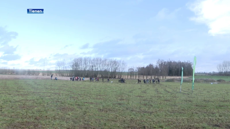 In Boutersem en Tienen zijn dit weekend in totaal 5500 extra bomen aangeplant