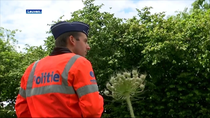 2 twintigers betrapt met grote hoeveelheid drugs nadat ze bijna voetganger aanrijden in Leuven