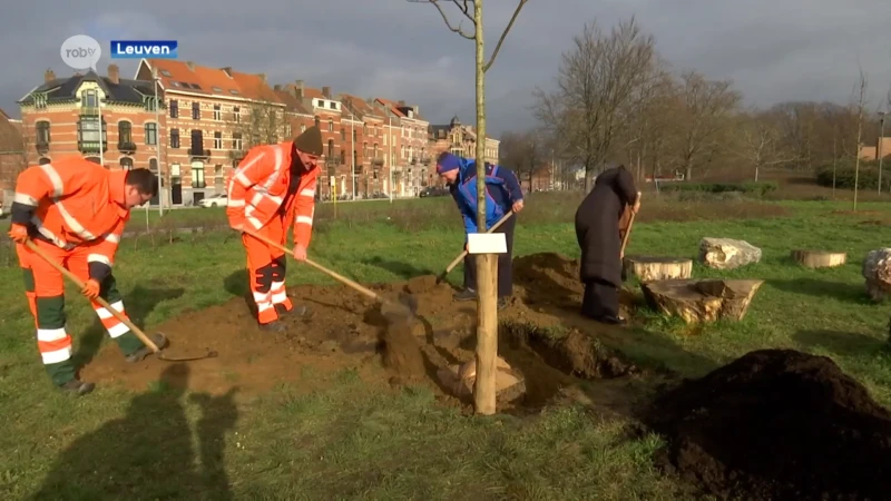 Stad Leuven plant 55 bomen op de Philipssite