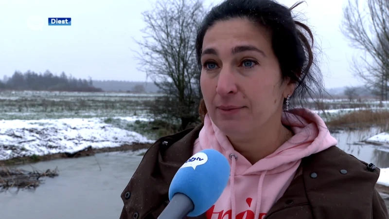 Minister Demir bezoekt vernattingswerken in Webbekomsbroek: "Nodig om droogte tegen te gaan"