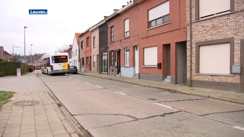 Leuven gaat trillende betonplaten in de Koetsweg in Kessel-Lo aanpakken