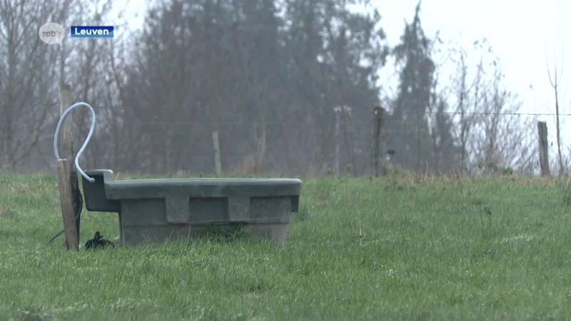 Geen nieuwe PFAS-vervuiling gevonden aan Abdij van Park in Leuven: "Helemaal veilig"