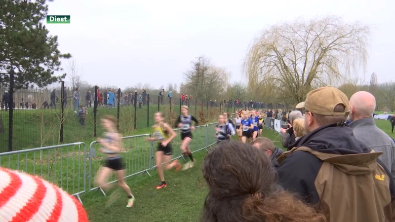 1500 jonge lopers op Crosscup in Diest: "Ploeteren door de modder is wat het leuk maakt"