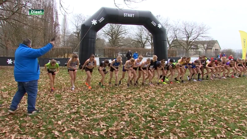 Crosscup veldlopen strijkt neer in de Halve Maan in Diest: "Leuk parcours, echt cross"