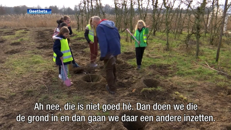 Basisschool VBS De Knipoog helpt met het aanplanten van 10.000 bomen in Geetbets