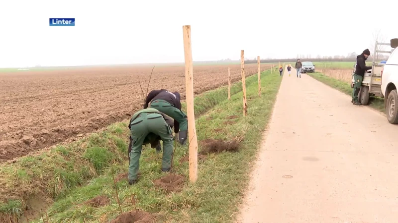 200 haagplantjes moeten erosie helpen tegengaan in groot landbouwgebied in Linter