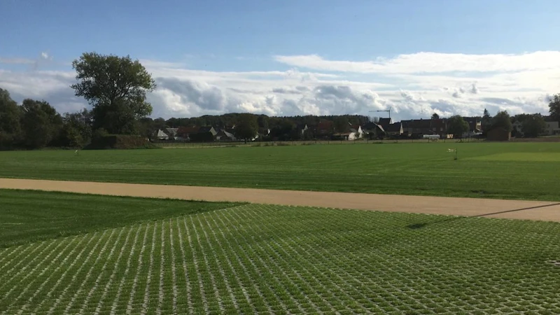 Diest start met voedselbos aan Oosterlindeveld en zoekt enthousiastelingen